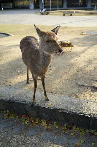 _thrownaway's profile picture. 