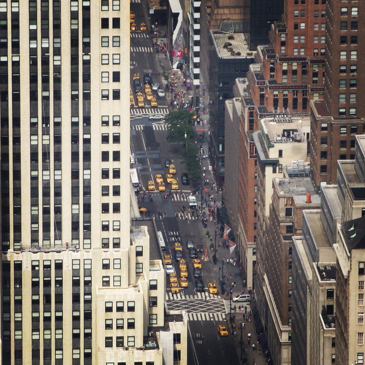 TheTerrapin84's profile picture. 