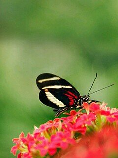 wong_pkwong69's profile picture. a charming and happy person.