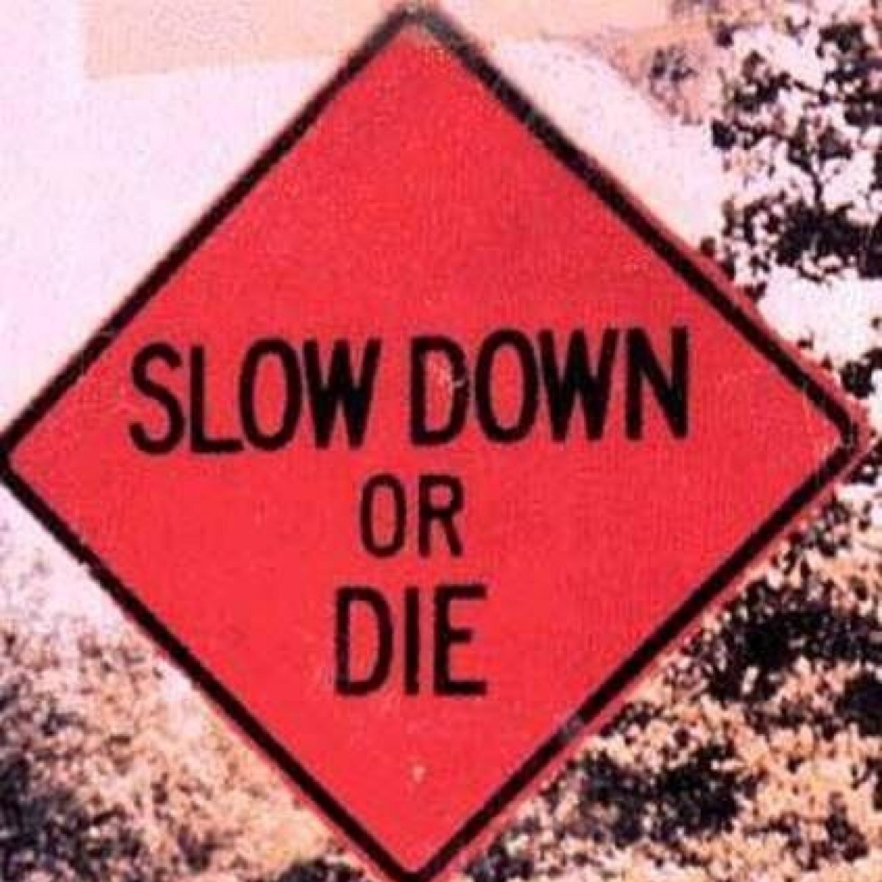 Tyking2243's profile picture. Father, husband, son, professional peanut butter & jelly sandwich artist