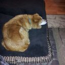 Kimberly Koons - @kimberly_koons - Twitter