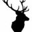 SpruceOban's profile image