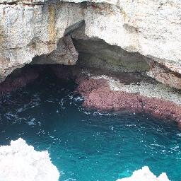 vicentesan123's profile picture. 