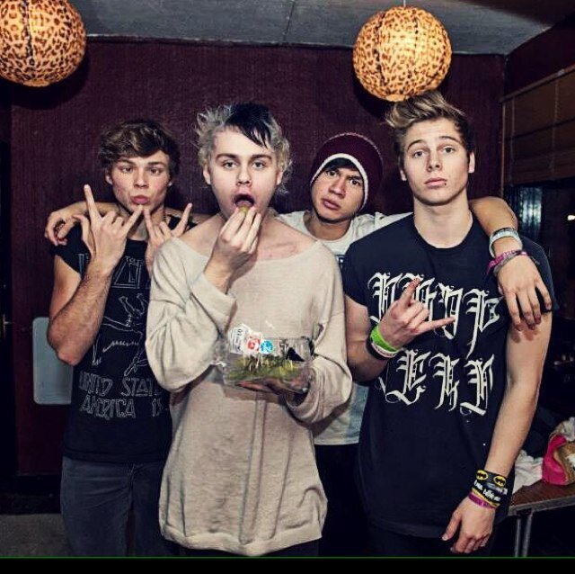 Fanclub oficial de la banda australiana 5 Seconds of summer