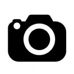 photos, oiseaux, voyages