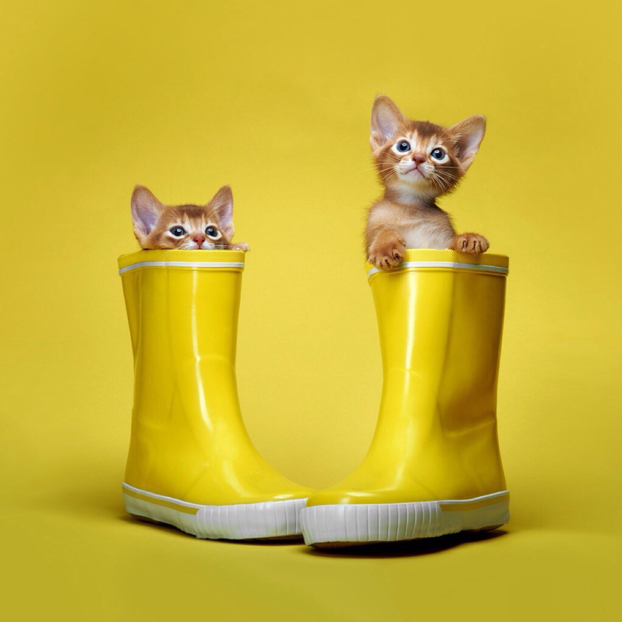 lovemeletiix31's profile picture. Ꭹ ፈᏬᏗᏁᎴᎧ ᎷᏋᏁᎧᏕ ᏖᏋ ᏝᎧ ᏋᏕᎮᏋᏒᏗᏕ ᎴᎥᎧᏕ ᏖᏋ sᎾᏒᏢᏒᎬᏁᎠᎬ ᏟᎾᏁ ᏁuᎬᏉᎪs ᎾᏢᎾᏒᏆuᏁᎥᎠᎪᎠᎬs