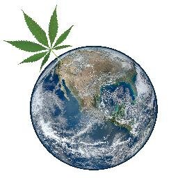 Cannabis is beginning to come to forefront of scientific and political agendas and we must keep the momentum going!