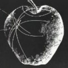micro_gravity's profile picture. evolutional