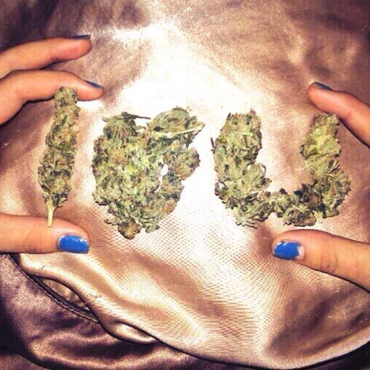 #StayTrippy | #TGOD | #REMember | #OFWGKTA