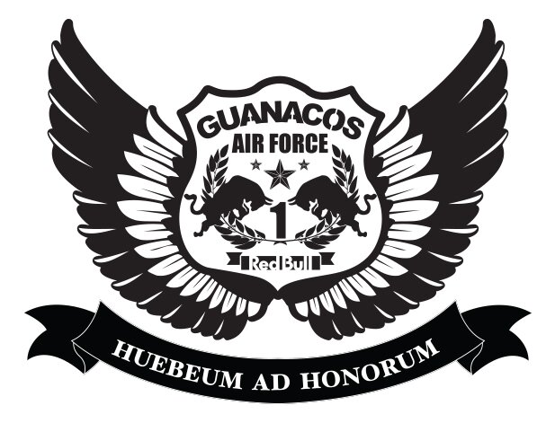 Equipo Redbull Flugtag 2014 - Constructores de aviones artesanales, Hueveo ad honorum. Vamos por el RECORD MUNDIAL! #vamosguanacos