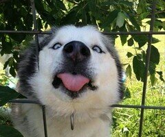 EmlijaE's profile picture. cpp :::)))