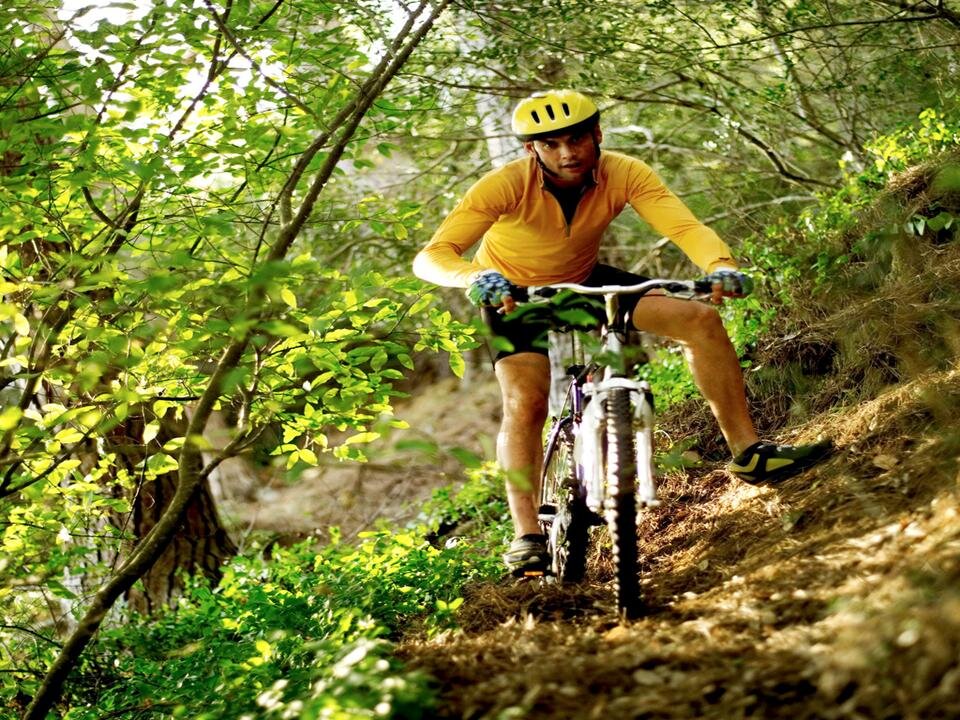Software engineer and love to do cycling as a fun pasttime.