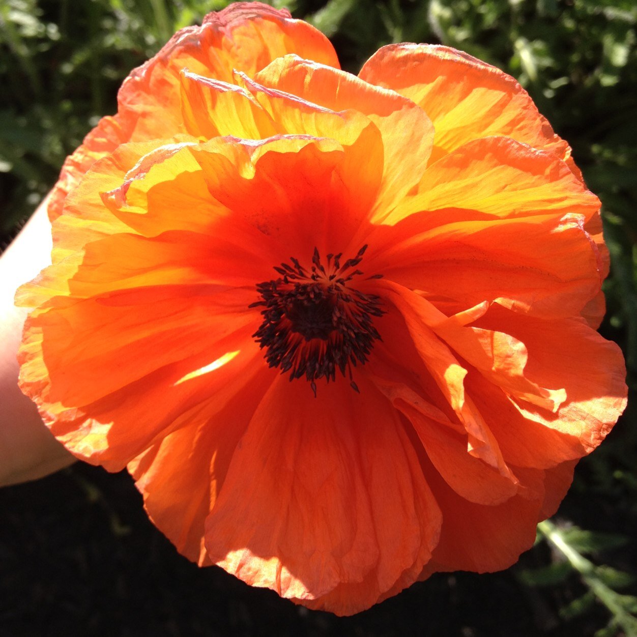 teachenglish28's profile picture. 