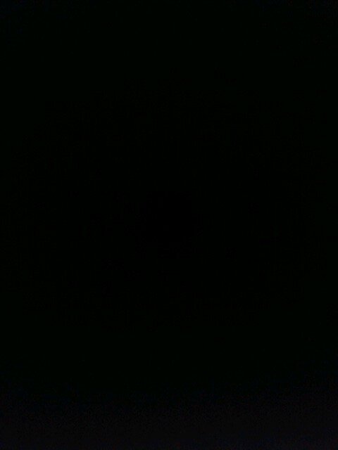 BeeveOB's profile picture. 