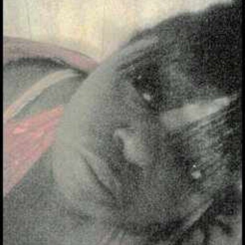 angel20112691's profile picture. 