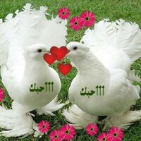 فوفو (@fr8811) 's Twitter Profile