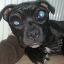 Denise Stanfield - @Den_Stan1902 - Twitter