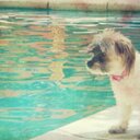 Lucy ♡ - @LucyCoronelOk - Twitter