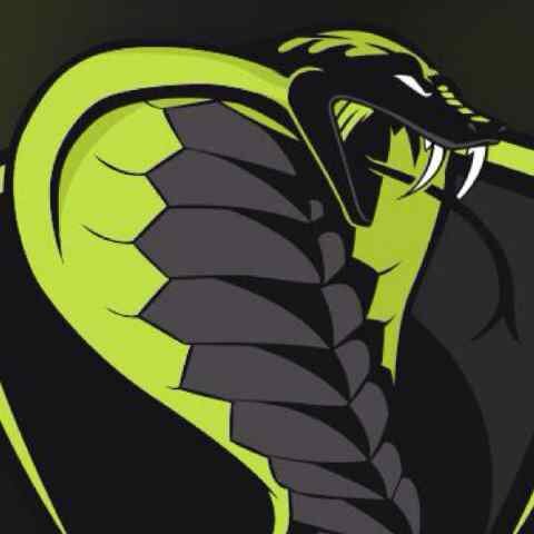 Co-Leader of nF