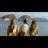 TeresaGRojas's profile image