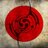 KAigars's profile image