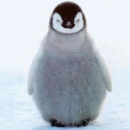 msese_'s profile picture. void