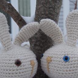 Heebobo's profile picture. In a perfect world, bunnies rule!