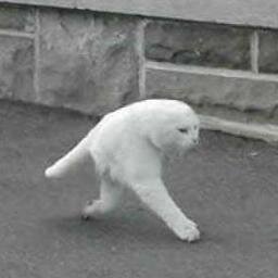 give me food and ill shut up