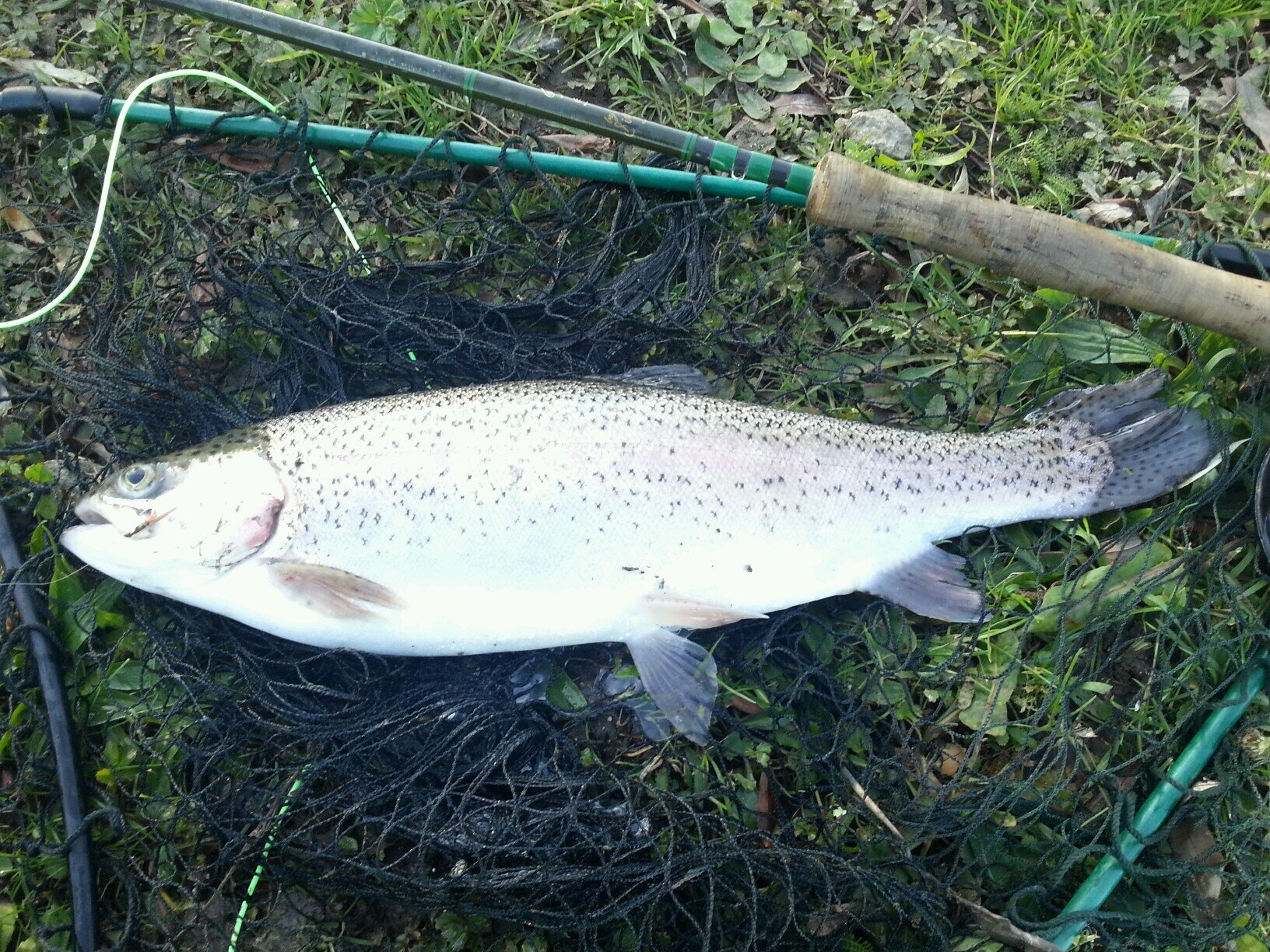 Fly fishing IT engineer who loves Audi ur -q’s