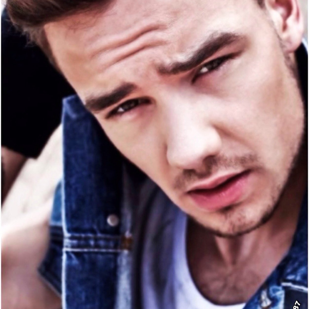 LiamJPaynePPc's profile picture. Back up to: @LiamJPayneP