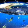jtintoreocean's profile picture. Integrated Ocean Observing for Sustainable Planet. Scientific Excelence with Impact. Research Infrastructures & Sailing ! @csic @imedea_uib_csic @ClubOfRome