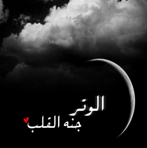 msahem1's profile picture. لاتسعى لتصحيح ظن أحد بك ! إن خالقك ينظر لقلبك وهذا يكفيك