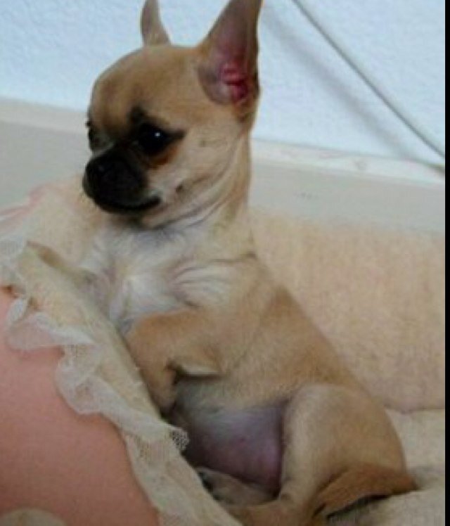 AnaColquhoun's profile picture. 