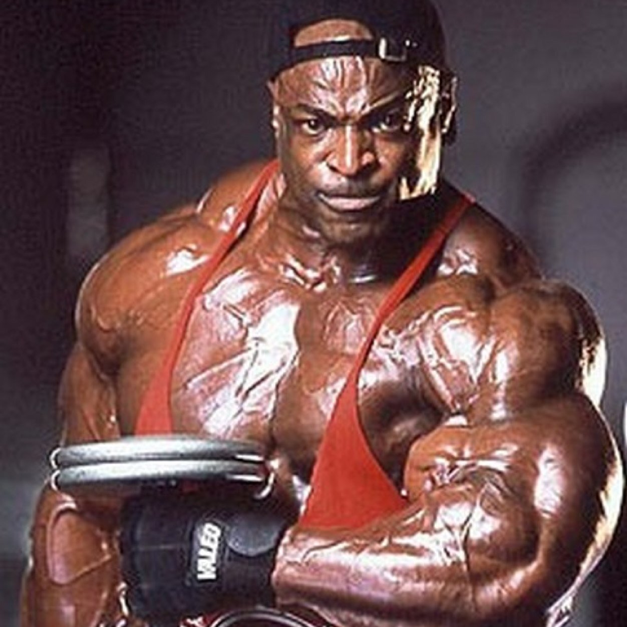 bodybuilding72's profile picture. Life soul and body mass of body building