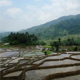 seneng mbolang?? gabung inyong yuh!! 320DF0E8 / 085647747271