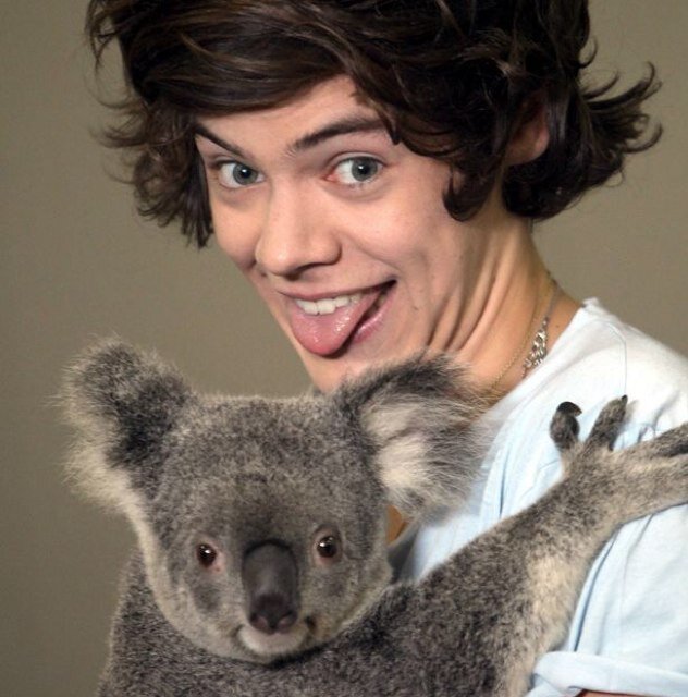 We appreciate the sweet sweet melodies One Direction makes.....but...not publicly