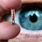 biochipsbrasil's profile image