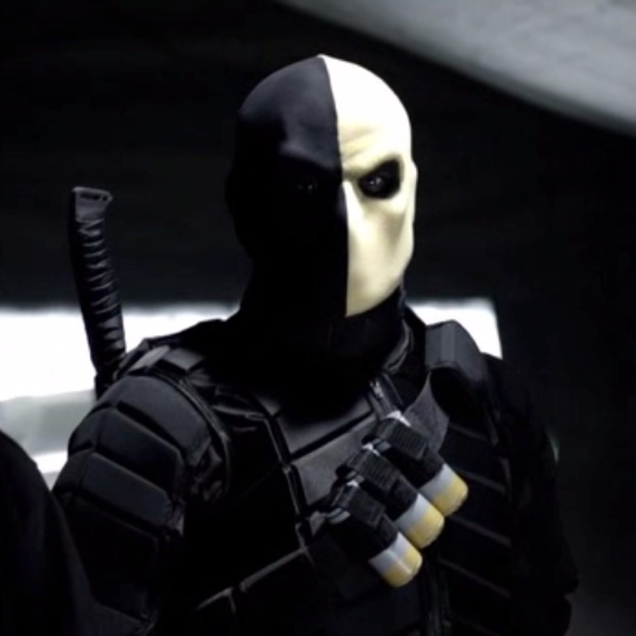 Was a member of the Australian Secret Intelligence Service. Ex-partner and ex-friend of Slade Wilson aka Deathstroke. Now residing on an island named Lian Yu.