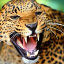 Chery Yves - @YvesChery - Twitter