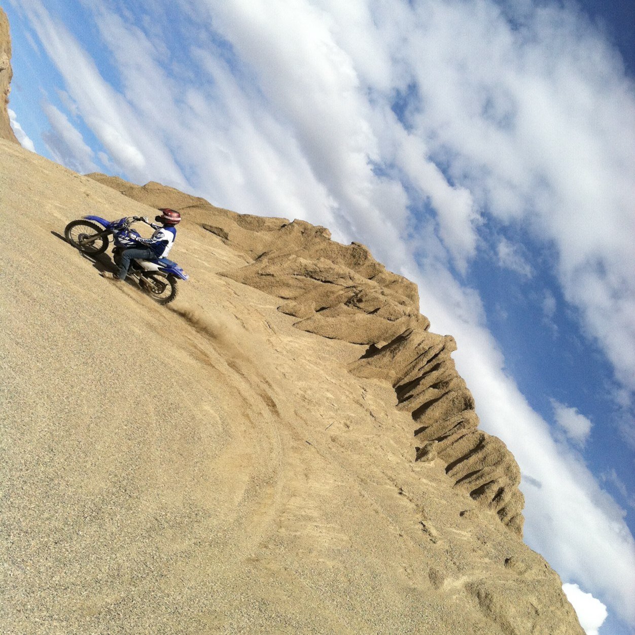 lholmes524's profile picture. 