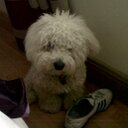 Philip Nolan - @Philipnolan7 - Twitter