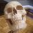 StudleyHank's profile image