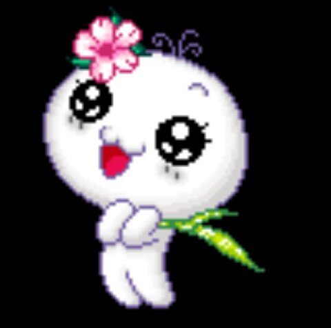 @CLUBEFOLLOWBACK