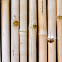 scott ogletree (@scottogletree) 's Twitter Profile