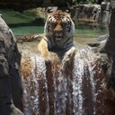 patrick grace - @spbagrace - Twitter