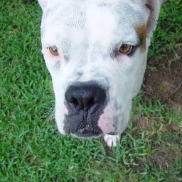 KimHill111's profile picture. Olde 60's person.