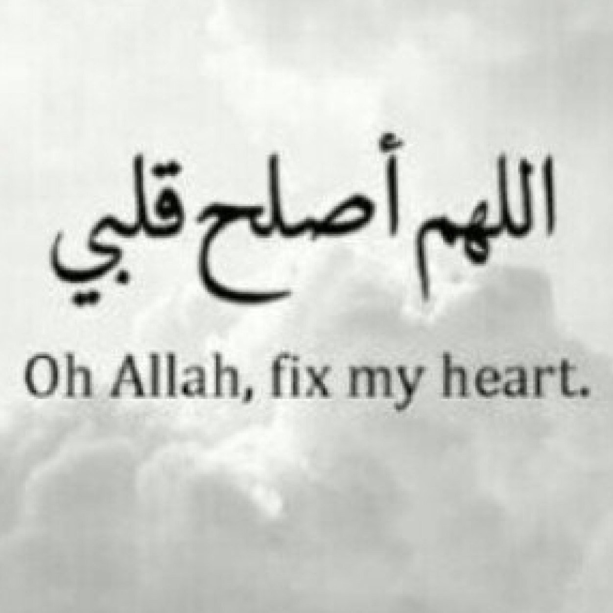 zooziimohammed's profile picture. 