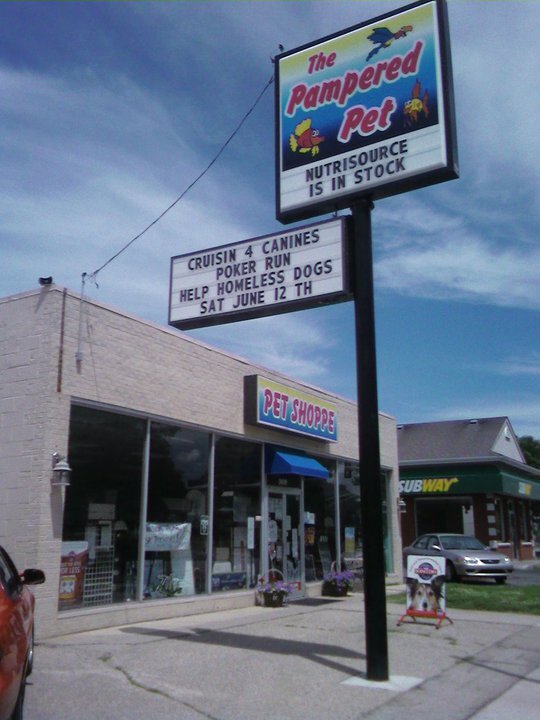 Professional Retailers, Grooming, Animal Rescue. The Pampered Pet in Junction City HAS what you need!