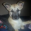 Jill Britton - @Jillwith2ls - Twitter