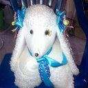 Lucy aviles - @lucyavilez - Twitter